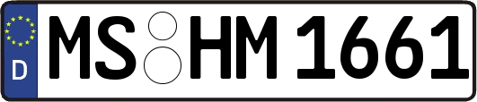 MS-HM1661
