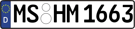 MS-HM1663