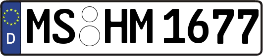 MS-HM1677