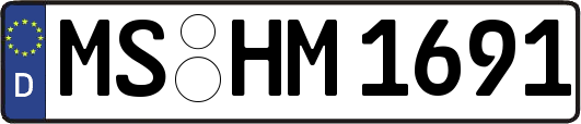 MS-HM1691