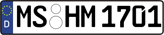 MS-HM1701