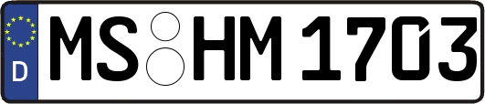 MS-HM1703