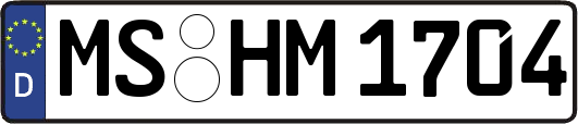 MS-HM1704