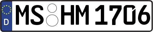 MS-HM1706
