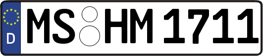 MS-HM1711