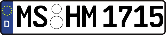 MS-HM1715