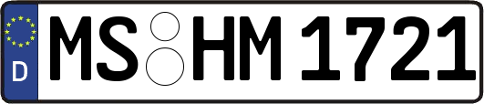 MS-HM1721