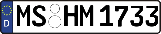 MS-HM1733
