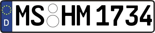 MS-HM1734