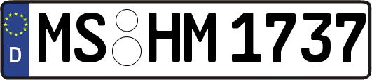 MS-HM1737