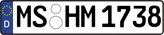 MS-HM1738