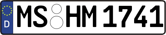 MS-HM1741