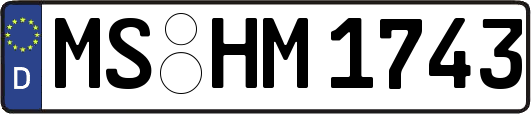 MS-HM1743