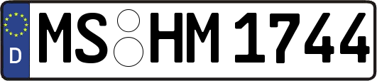 MS-HM1744