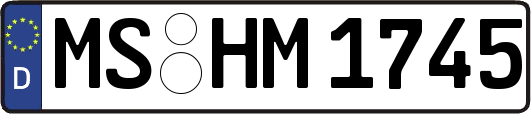 MS-HM1745