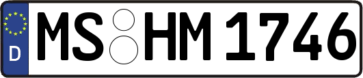 MS-HM1746