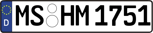 MS-HM1751