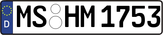 MS-HM1753
