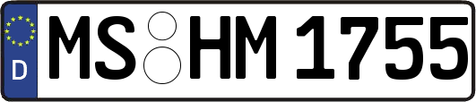 MS-HM1755