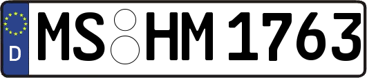 MS-HM1763