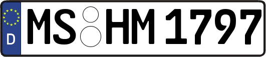 MS-HM1797