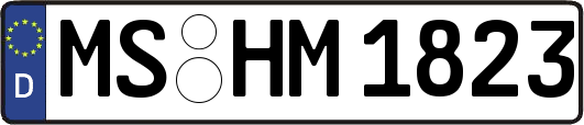 MS-HM1823