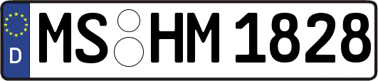 MS-HM1828