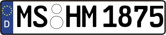MS-HM1875