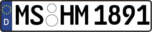 MS-HM1891