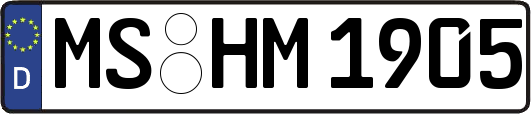 MS-HM1905