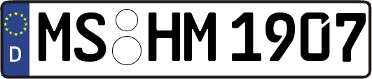 MS-HM1907