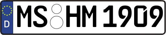 MS-HM1909
