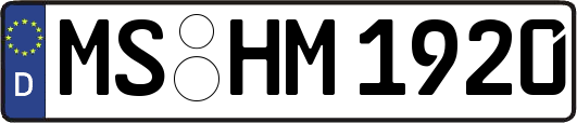MS-HM1920