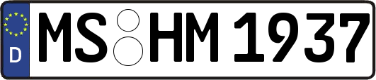 MS-HM1937