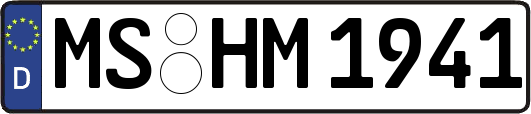 MS-HM1941