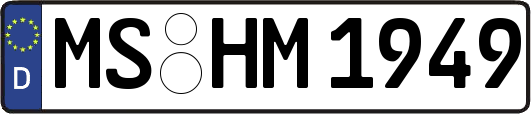 MS-HM1949