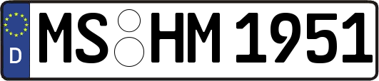MS-HM1951