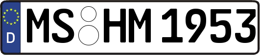 MS-HM1953