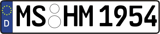 MS-HM1954