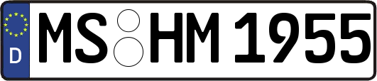 MS-HM1955