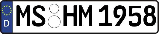 MS-HM1958