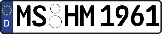 MS-HM1961