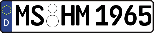 MS-HM1965
