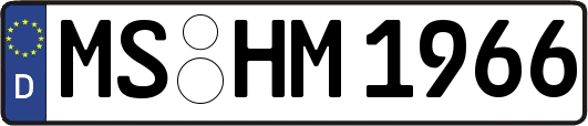 MS-HM1966