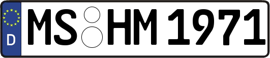 MS-HM1971