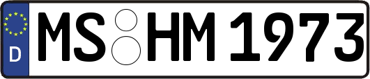MS-HM1973