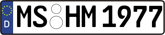 MS-HM1977