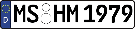 MS-HM1979