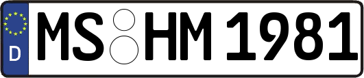 MS-HM1981