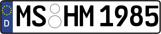 MS-HM1985